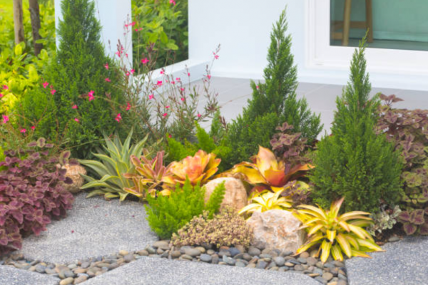 Taman dengan batu alam dan tanaman sukulen